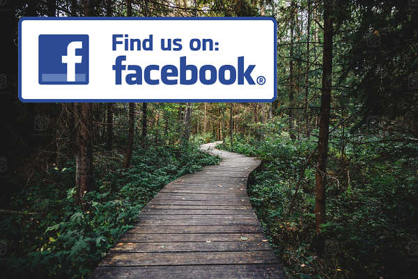Living Simplicity Web Design and Business Solutions on Facebook