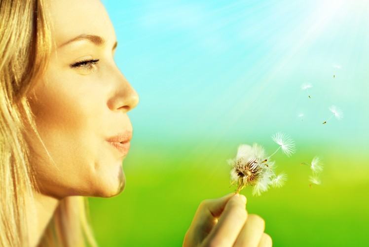 Living Simplicity Digital Marketing